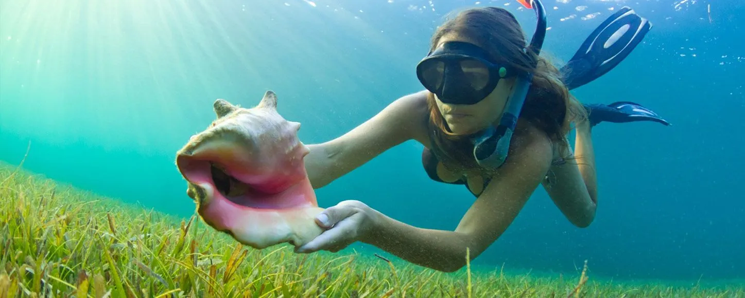 Finding shells while underwater