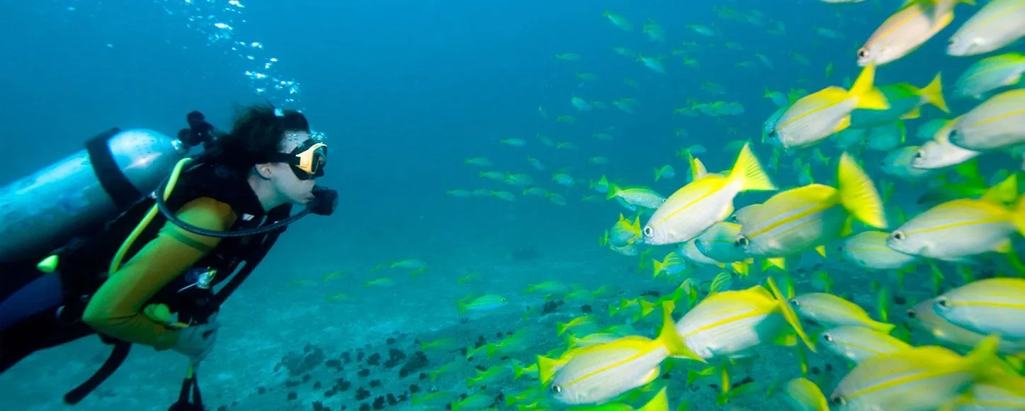 snorkelling in Fiji from a catamaran